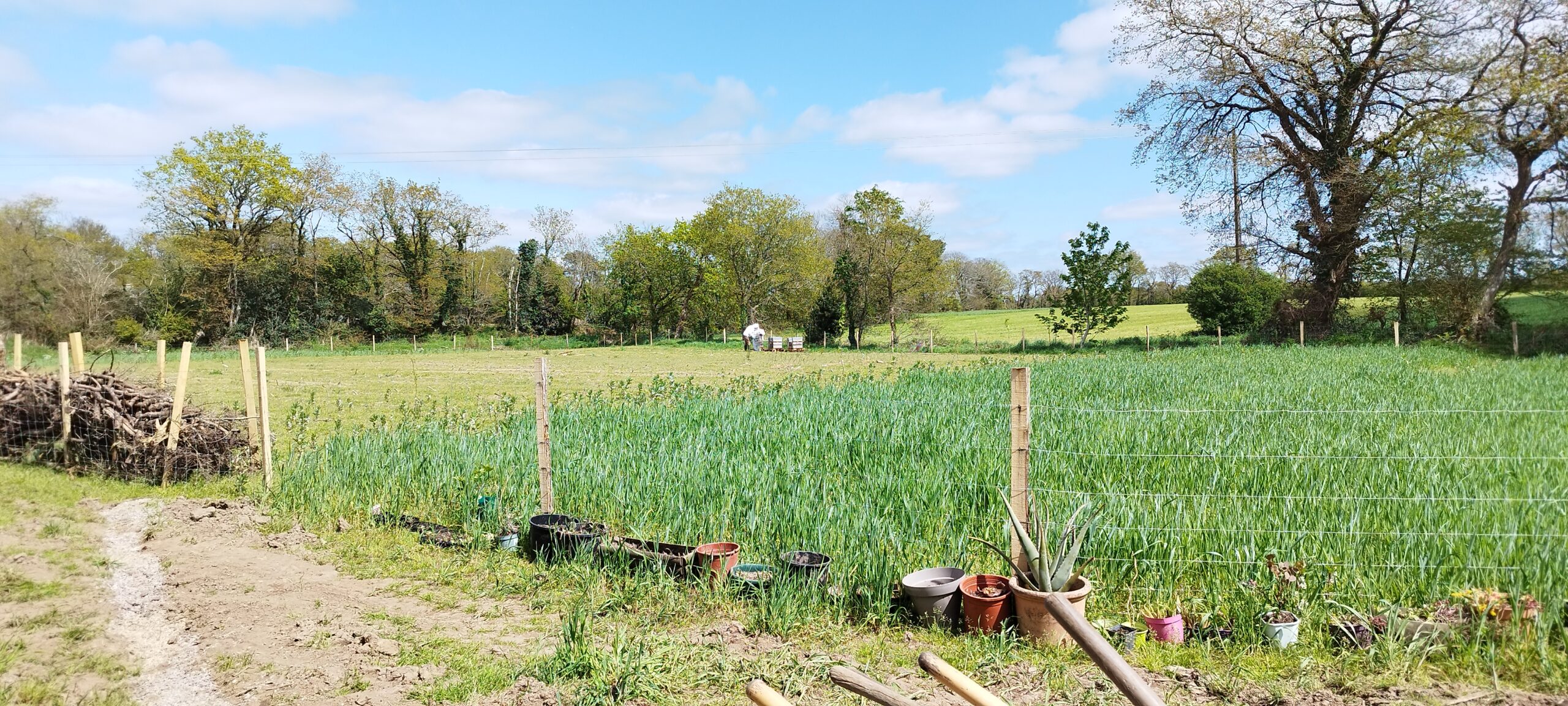 A propos img 20240419 152131