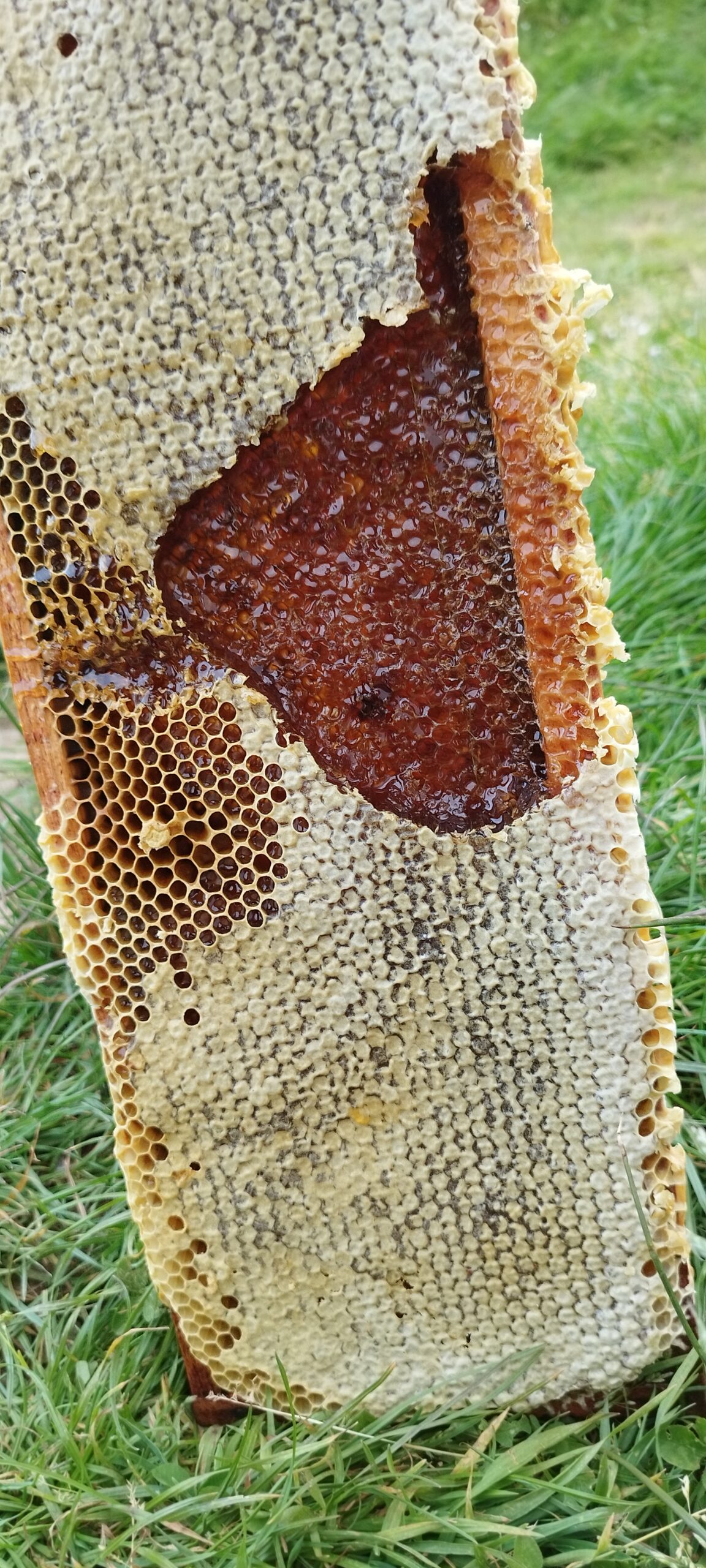 A propos img 20250508 203732