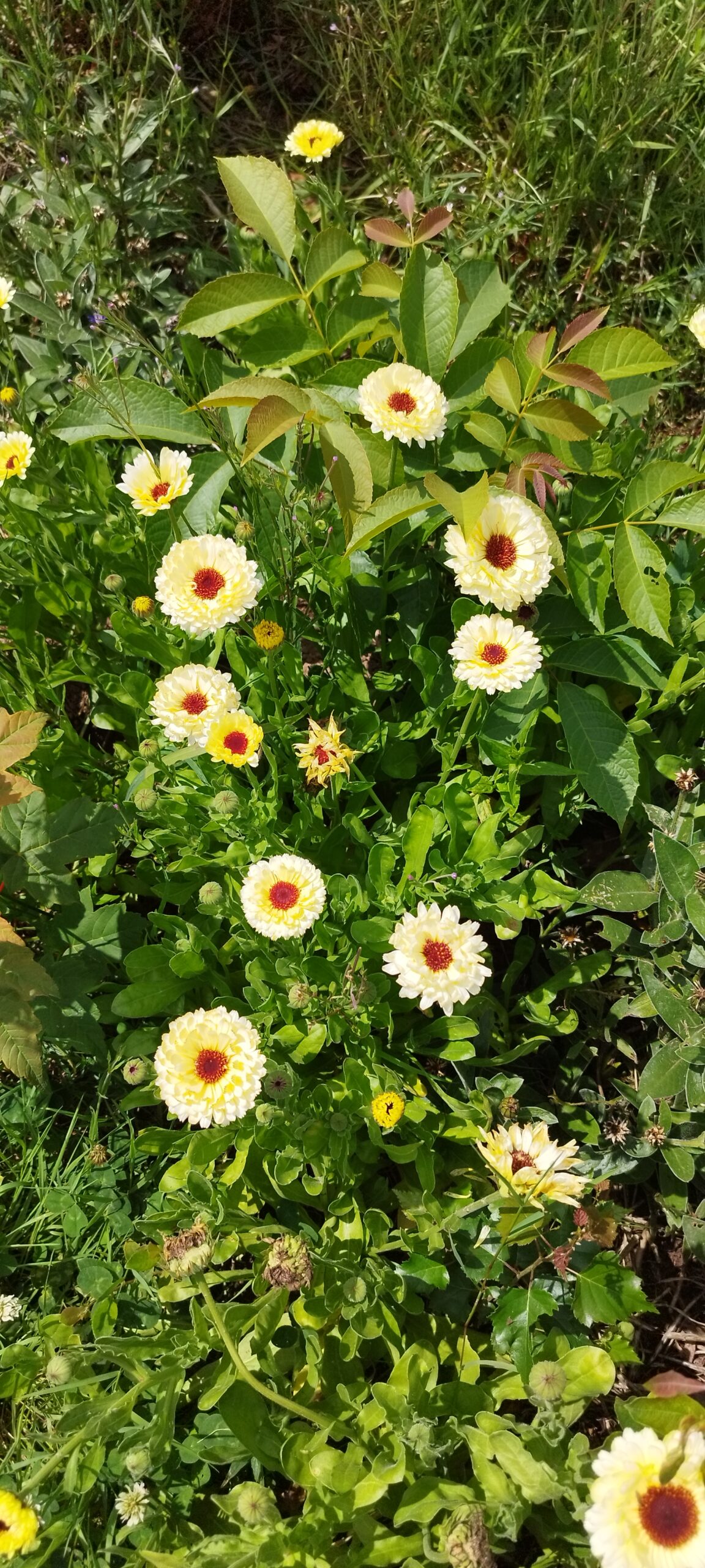 A propos img 20250614 131958