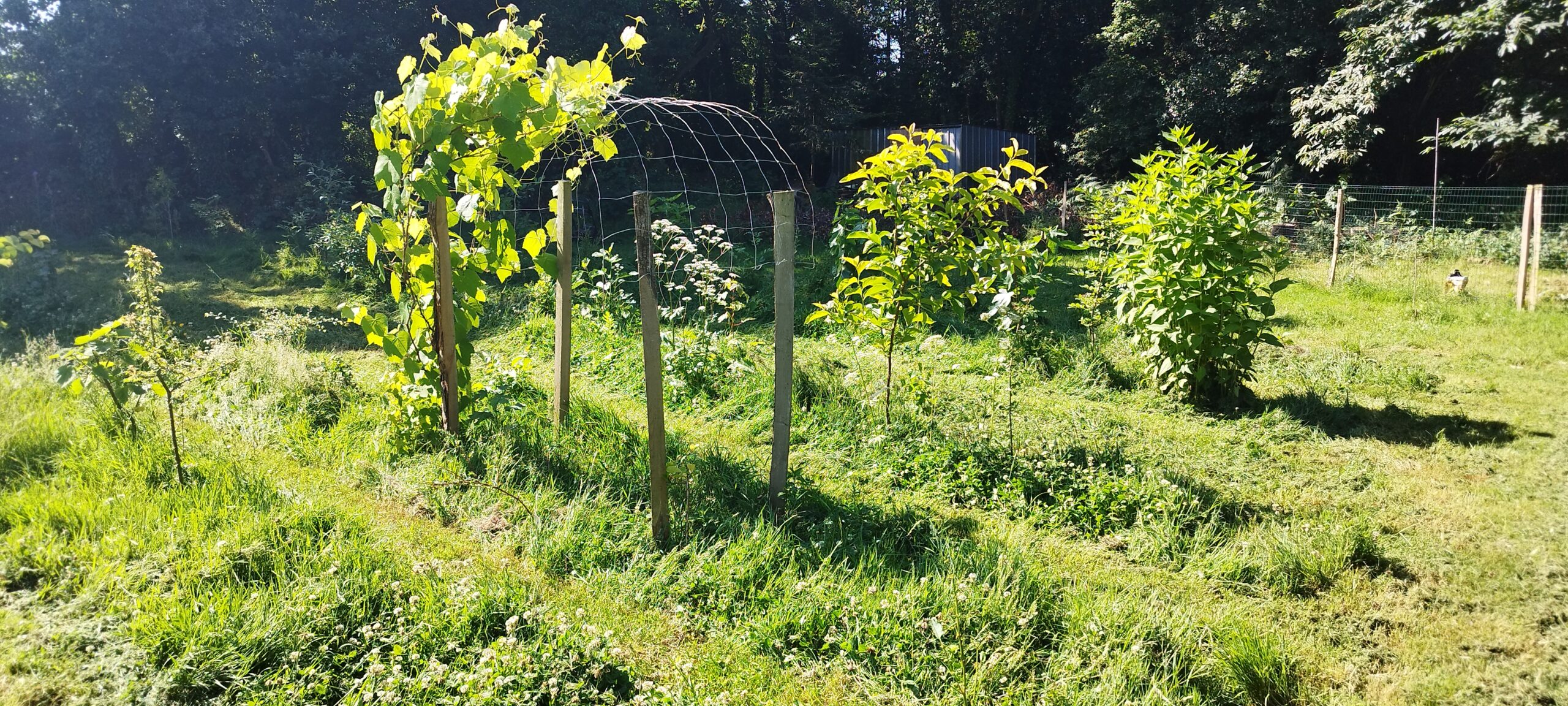 A propos img 20250619 105508