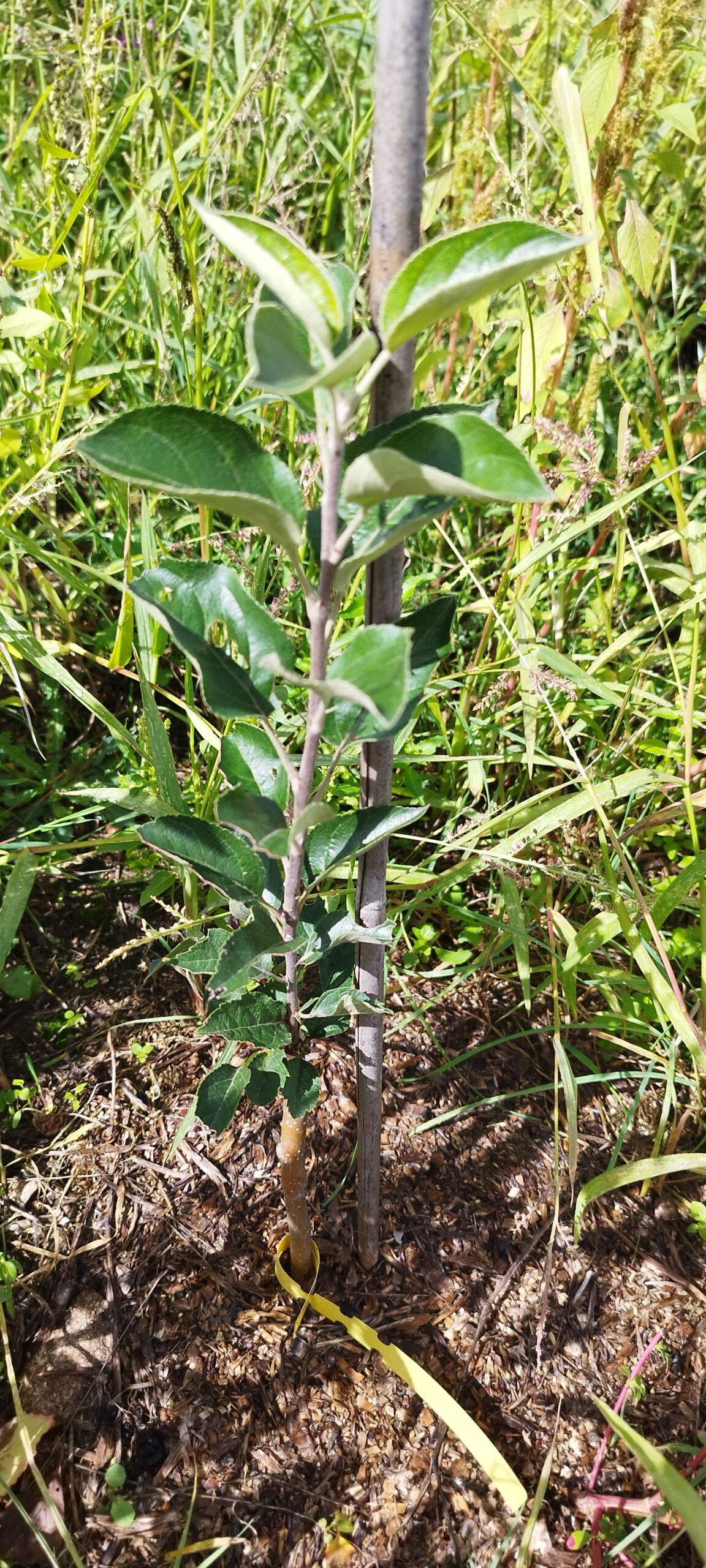 A propos img 20250911 134332