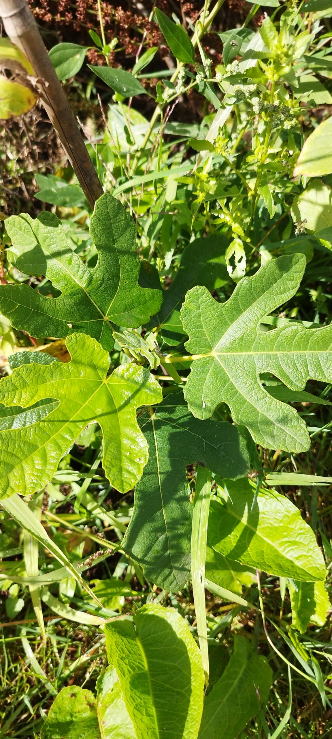 A propos img 20250911 135326